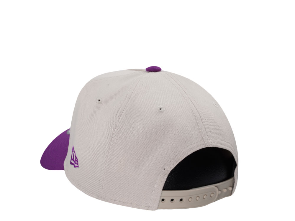 New Era Anaheim Ducks Stadium Series 2014 Stone Grape Two Tone Edition 9Forty A Frame Snapback Casquette