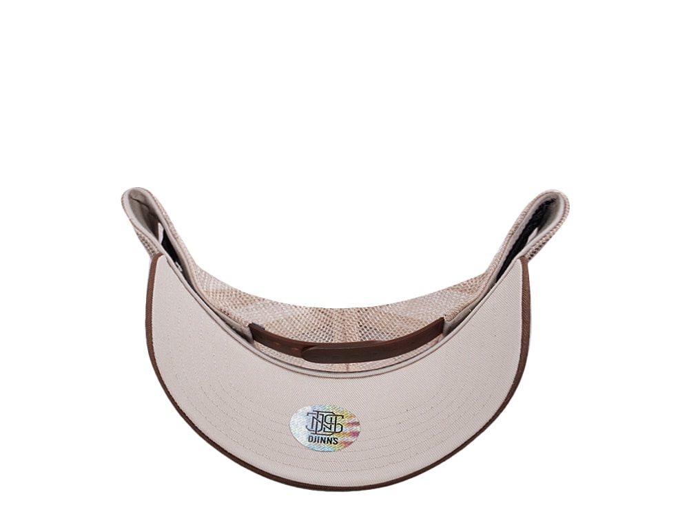 Djinns HFT Guy in a Cup Dark Brown Trucker Snapback Casquette