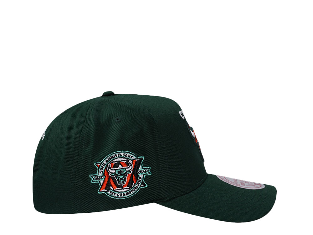 Mitchell & Ness Chicago Bulls 20th Anniversary Green Edition Pro Pinch Fit Snapback Casquette