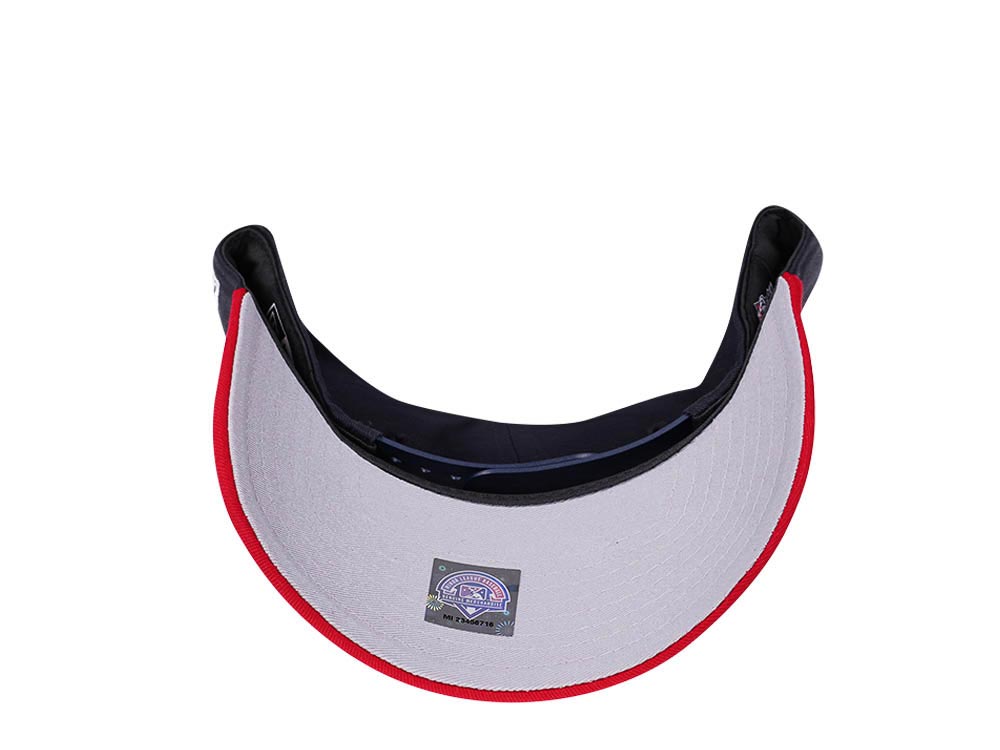 New Era Asheville Tourists Two Tone Prime Edition 9Forty A Frame Snapback Casquette