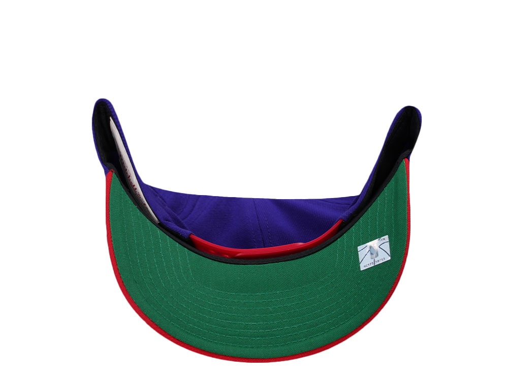 Mitchell & Ness Toronto Raptors Two Tone Pro Crown Fit Snapback Casquette