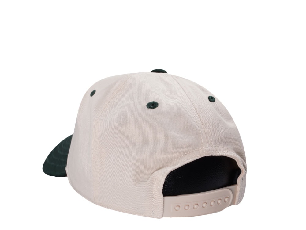 American Needle Yosemite National Park Roscoe Ivory Snapback Casquette