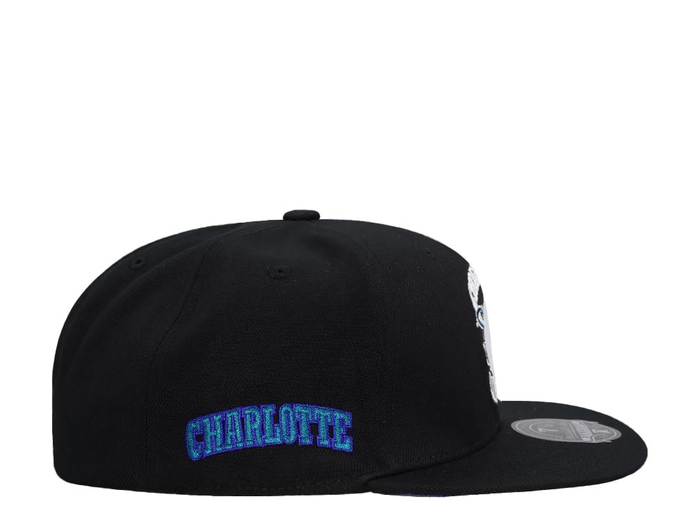 Mitchell & Ness Charlotte Hornets Logo History Hardwood Classic Dynasty Fitted Casquette