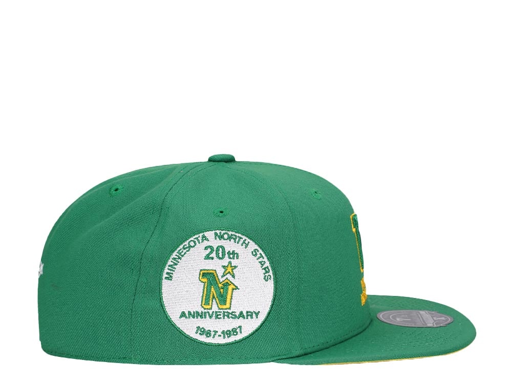 Mitchell & Ness Minnesota North Stars 20th Anniversary Vintage Edition Dynasty Fitted Casquette