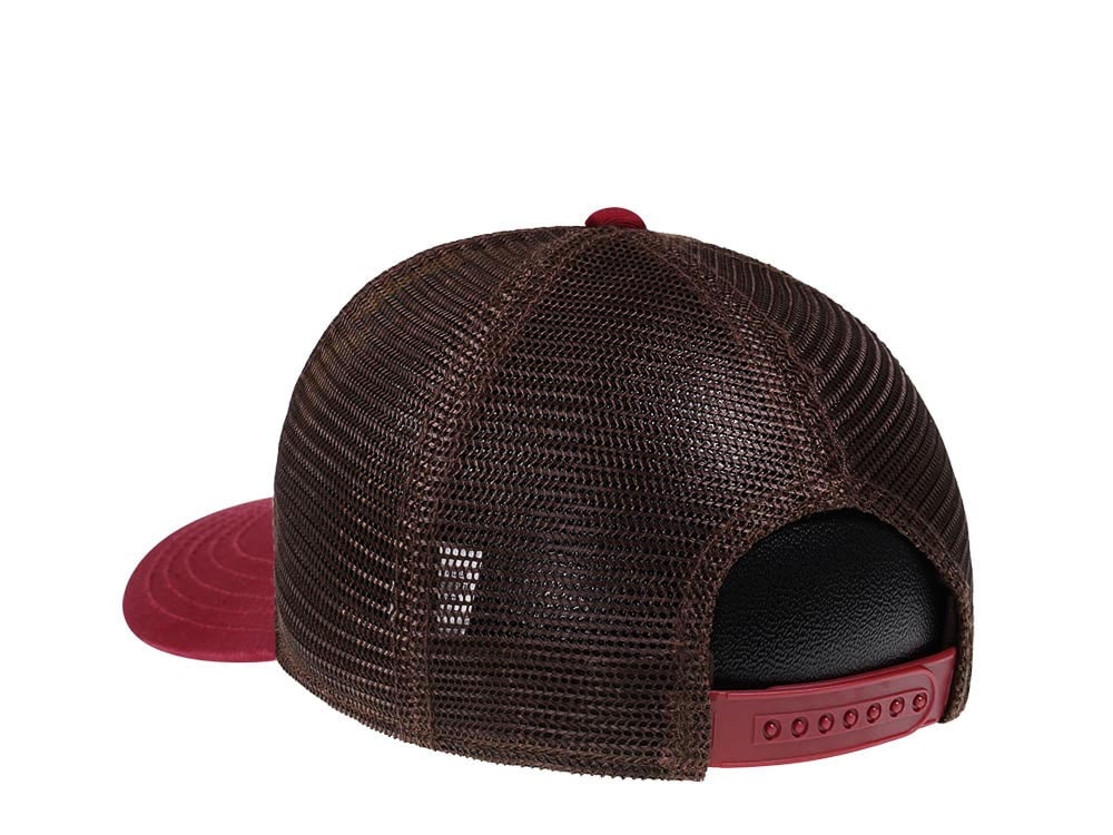 American Needle Grand Canyon NP Sinclair Trucker Snapback Casquette