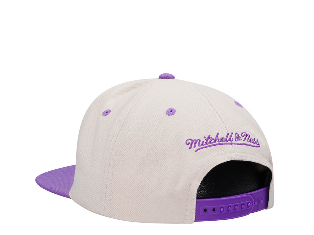 Mitchell & Ness Toronto Raptors Sail Off White Two Tone Snapback Casquette