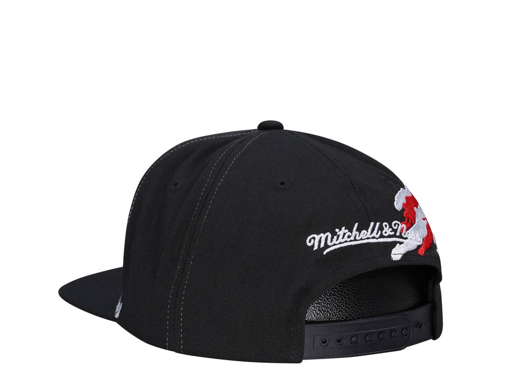Mitchell & Ness Detroit Red Wings Vintage Paintbrush Snapback Casquette