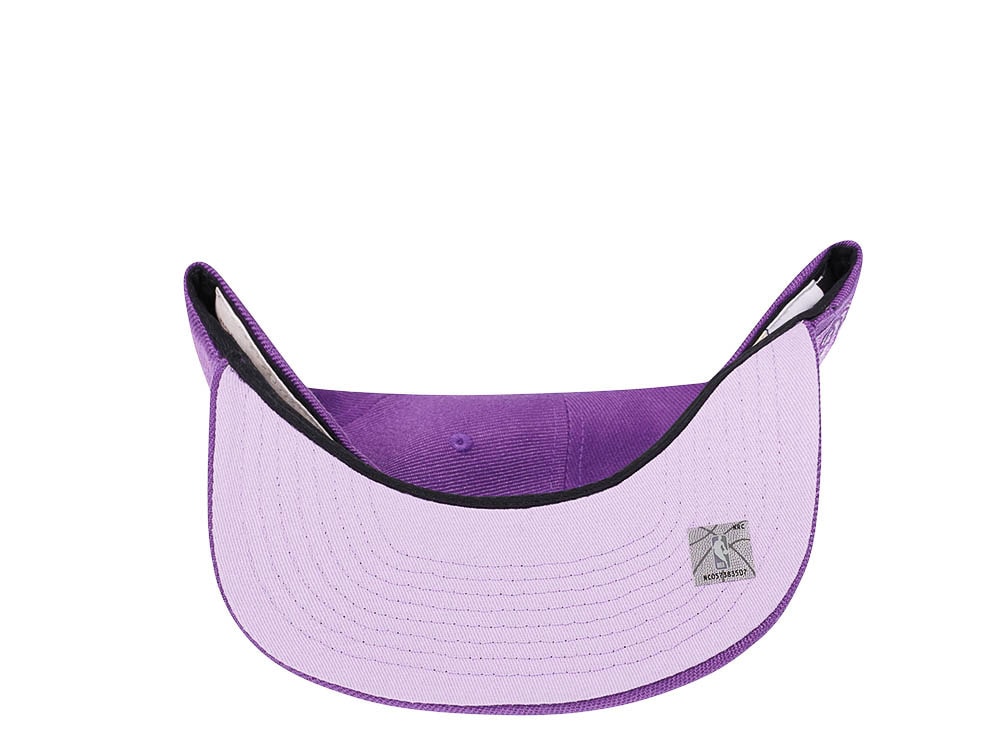Mitchell & Ness Toronto Raptors Purple Hardwood Classic Snapback Casquette