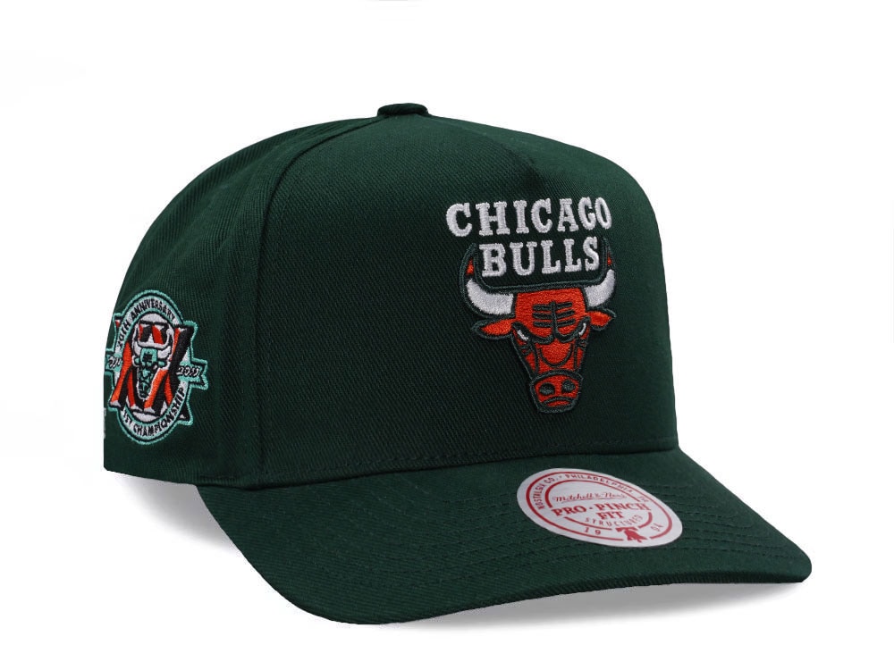 Mitchell & Ness Chicago Bulls 20th Anniversary Green Edition Pro Pinch Fit Snapback Casquette