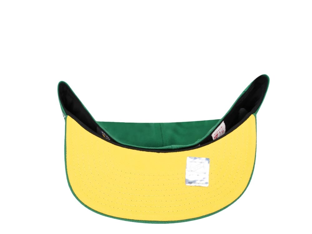 Mitchell & Ness Minnesota North Stars 20th Anniversary Vintage Edition Dynasty Fitted Casquette