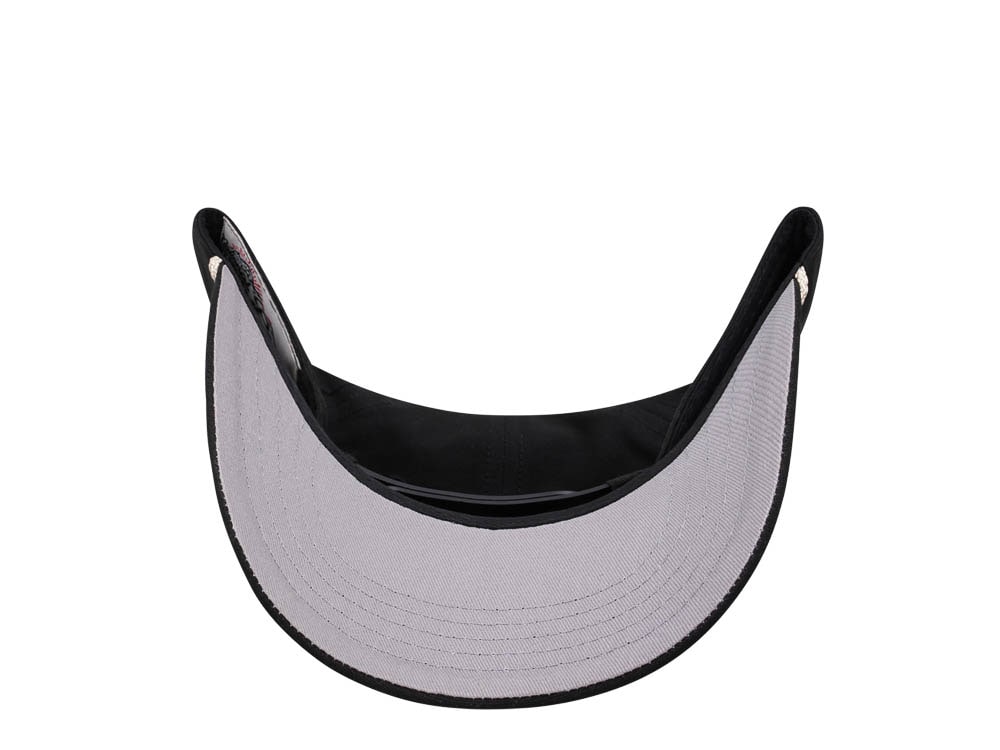 American Needle Yellowstone National Park Canvas Black Snapback Casquette
