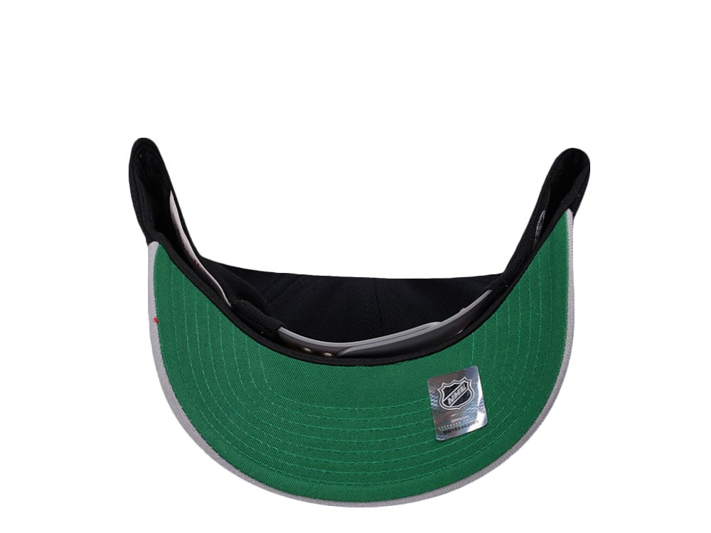 Mitchell & Ness Los Angeles Kings Two Tone Pro Crown Fit Snapback Casquette