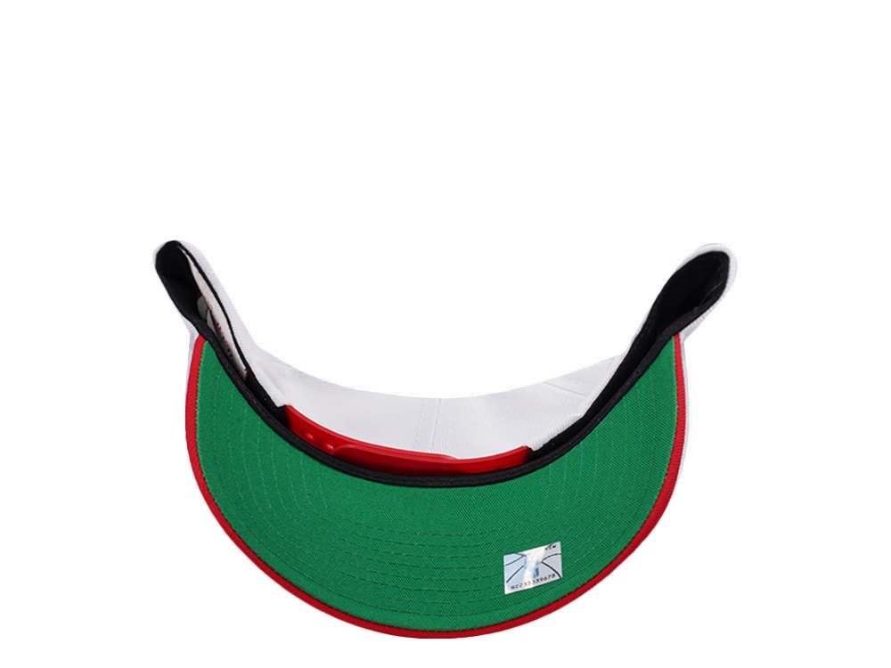 Mitchell & Ness Chicago Bulls NBA Playoffs 1996 Chrome Two Tone Editon Pro Crown Fit Snapback Casquette