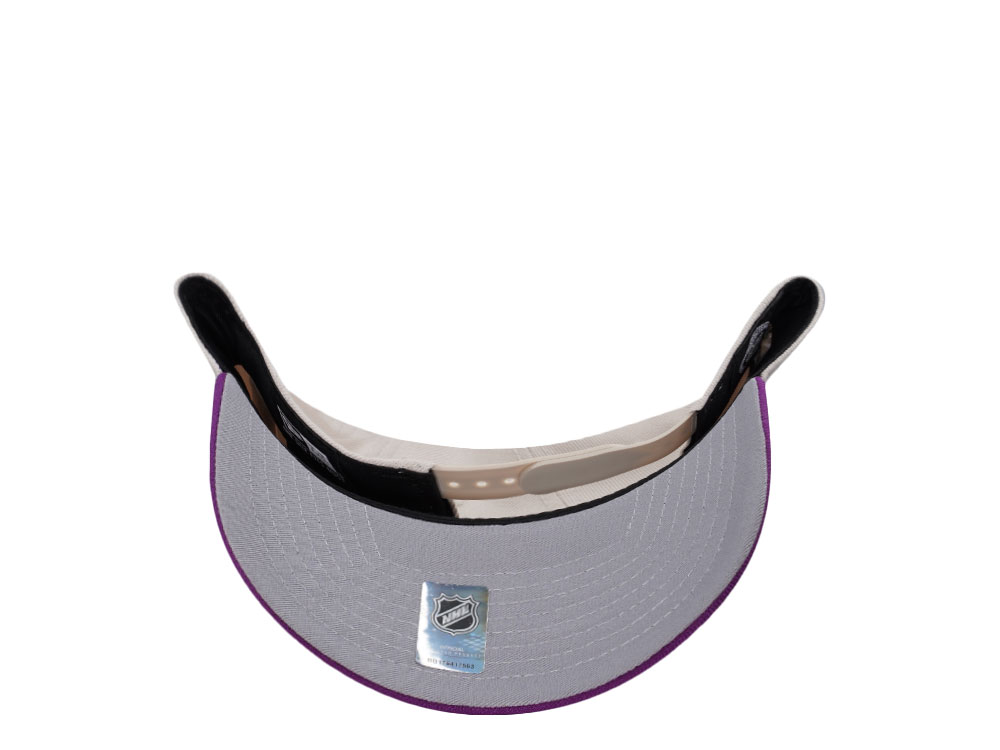 New Era Anaheim Ducks Stadium Series 2014 Stone Grape Two Tone Edition 9Forty A Frame Snapback Casquette