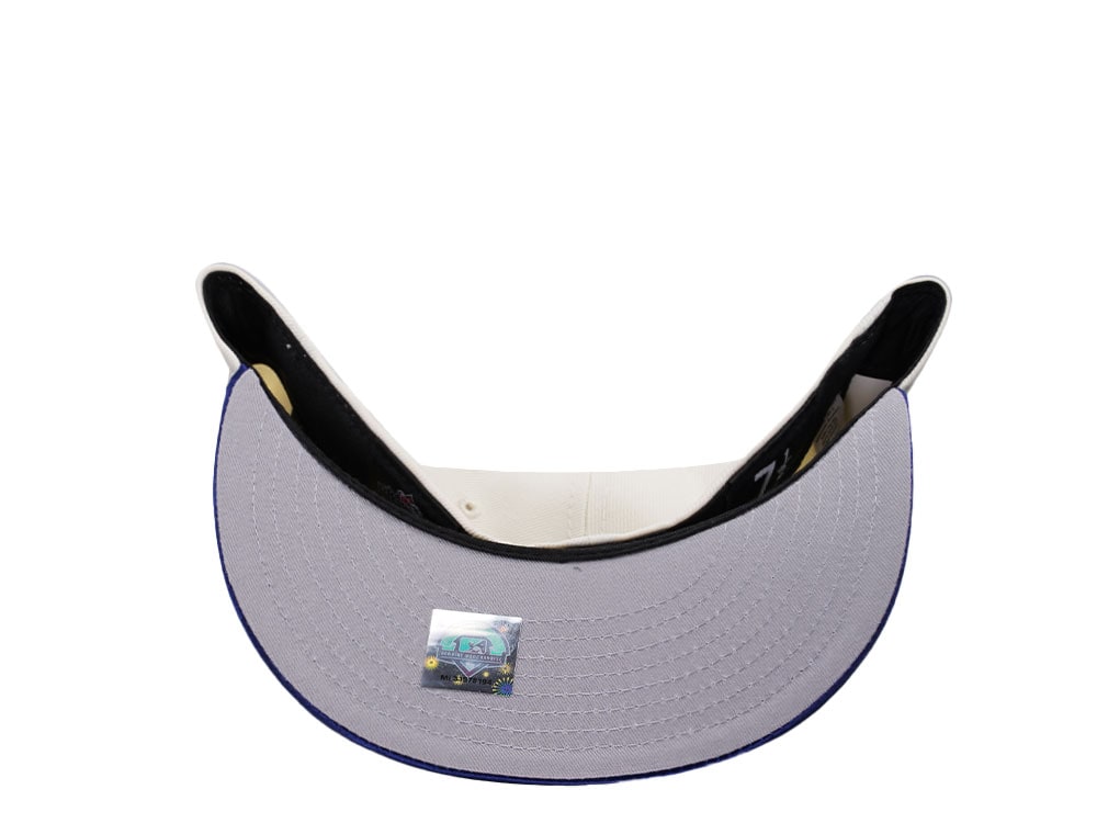 New Era Hudson Valley Renegades 30th Anniversary Chrome Satin Brim Two Tone Edition 59Fiftys Fitted Casquette