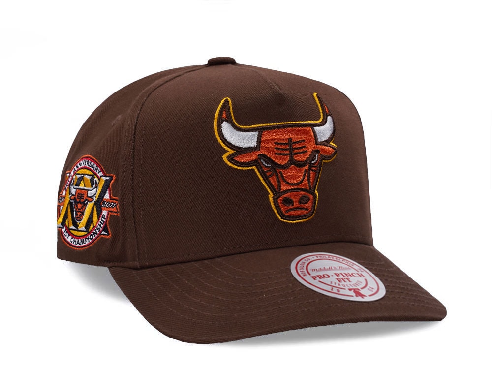 Mitchell & Ness Chicago Bulls 20th Anniversary Brown Edition Pro Pinch Fit Snapback Casquette