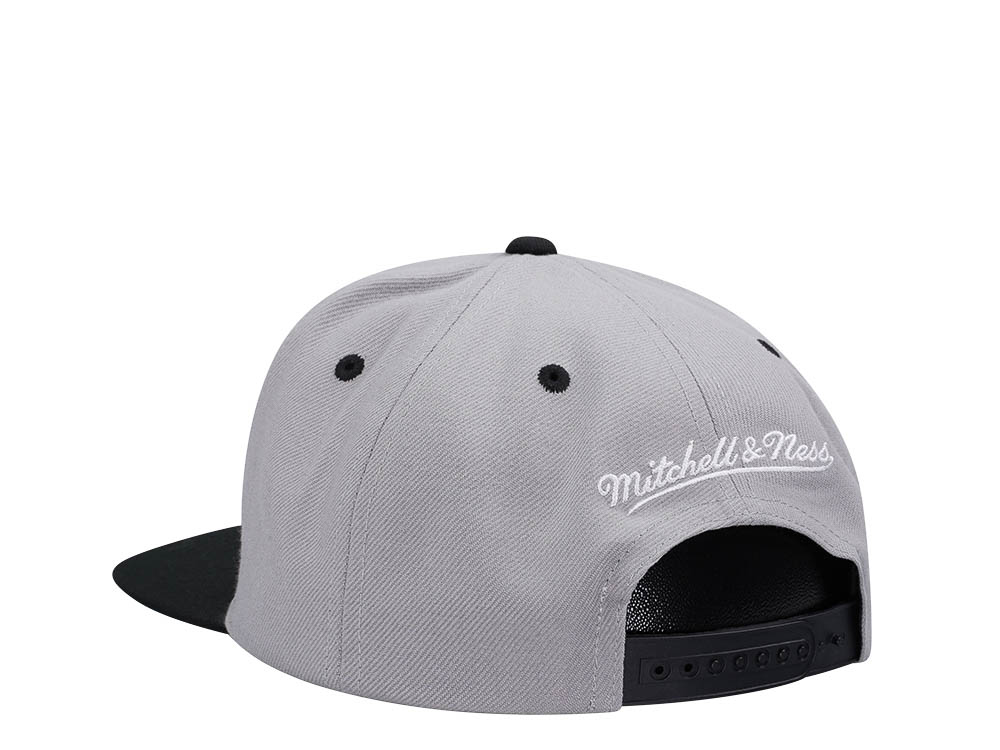 Mitchell & Ness Brooklyn Nets Transcript Gray Two Tone Snapback Casquette