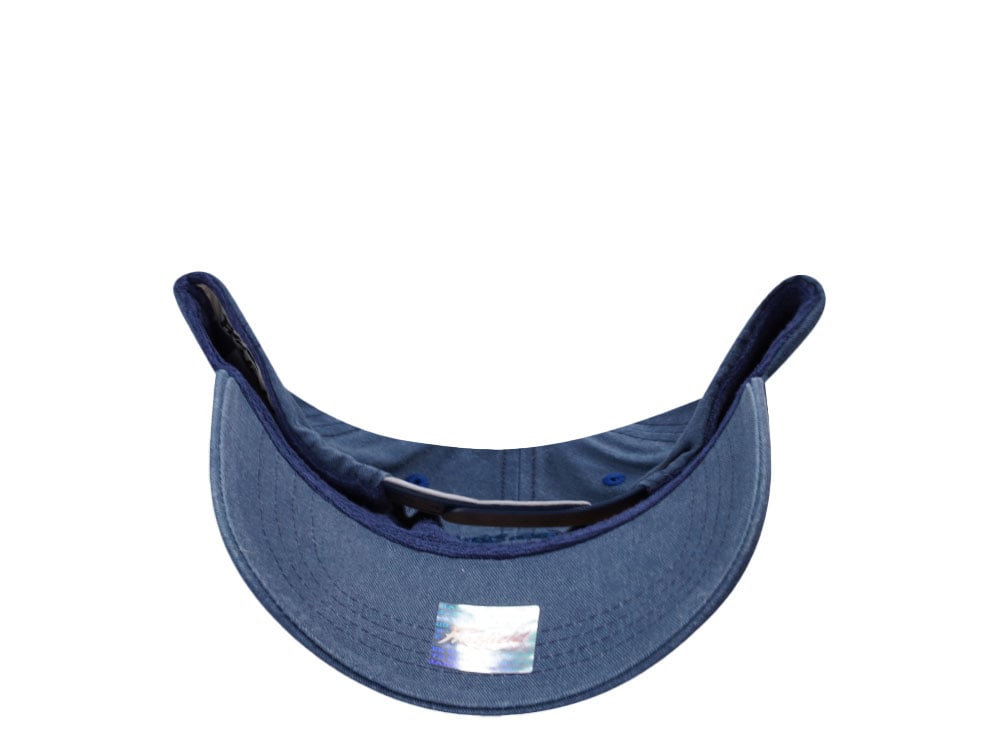 Hatfield Baby Shark Blue Snapback Casquette