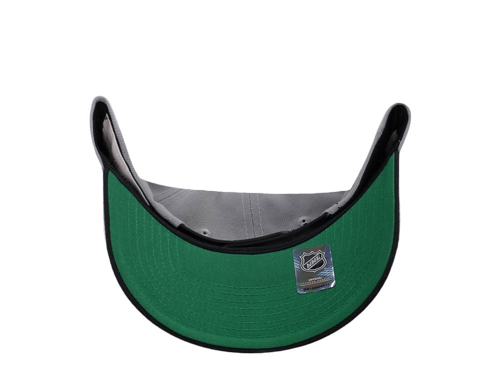 Mitchell & Ness Los Angeles Kings Pro Crown Fit Vintage Gray Snapback Casquette