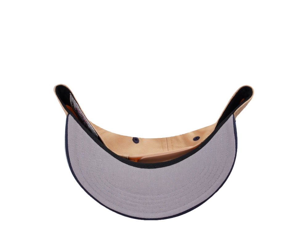 American Needle Yellowstone National Park Roscoe Beige Snapback Casquette