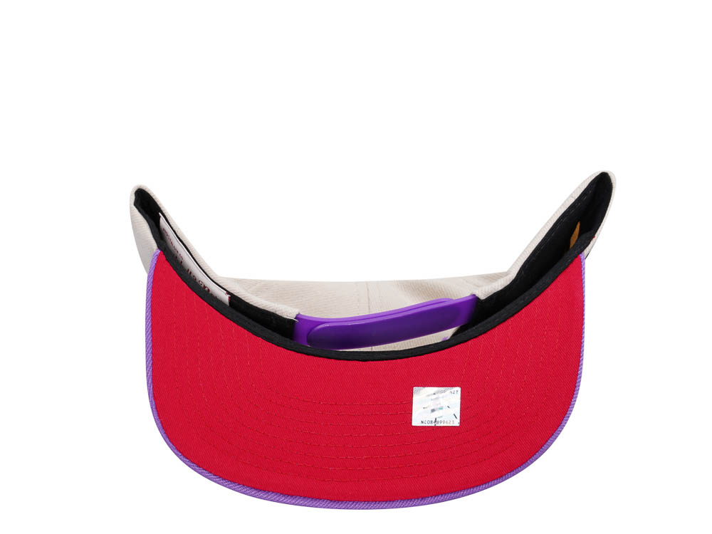 Mitchell & Ness Toronto Raptors Sail Off White Two Tone Snapback Casquette