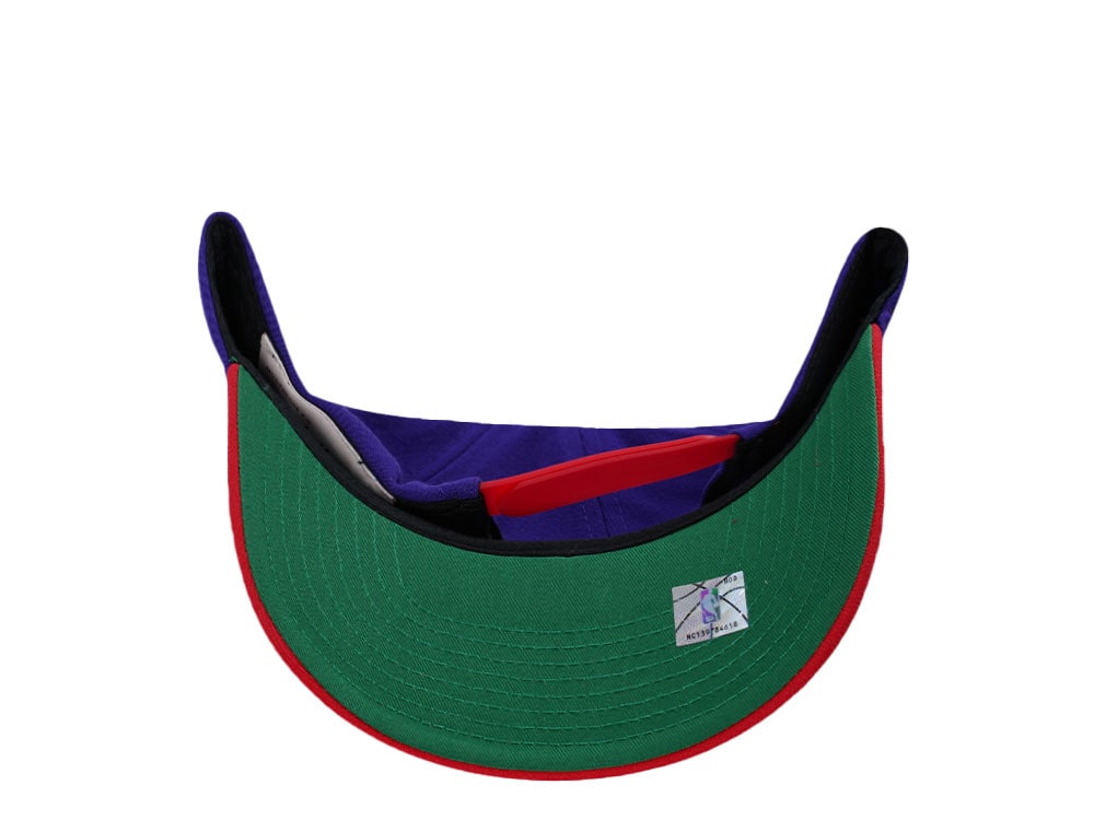 Mitchell & Ness Toronto Raptors Hardwood Classic Pro Crown Fit Purple Snapback Casquette