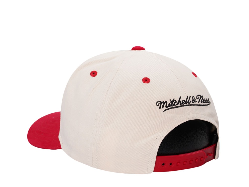 Mitchell & Ness Detroit Red Wings Horizon Two Tone Pro Crown Fit Snapback Casquette