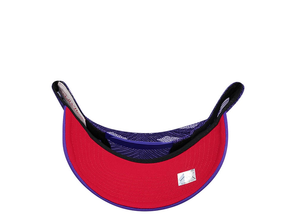Mitchell & Ness Toronto Raptors Purple Billboard Trucker Snapback Casquette