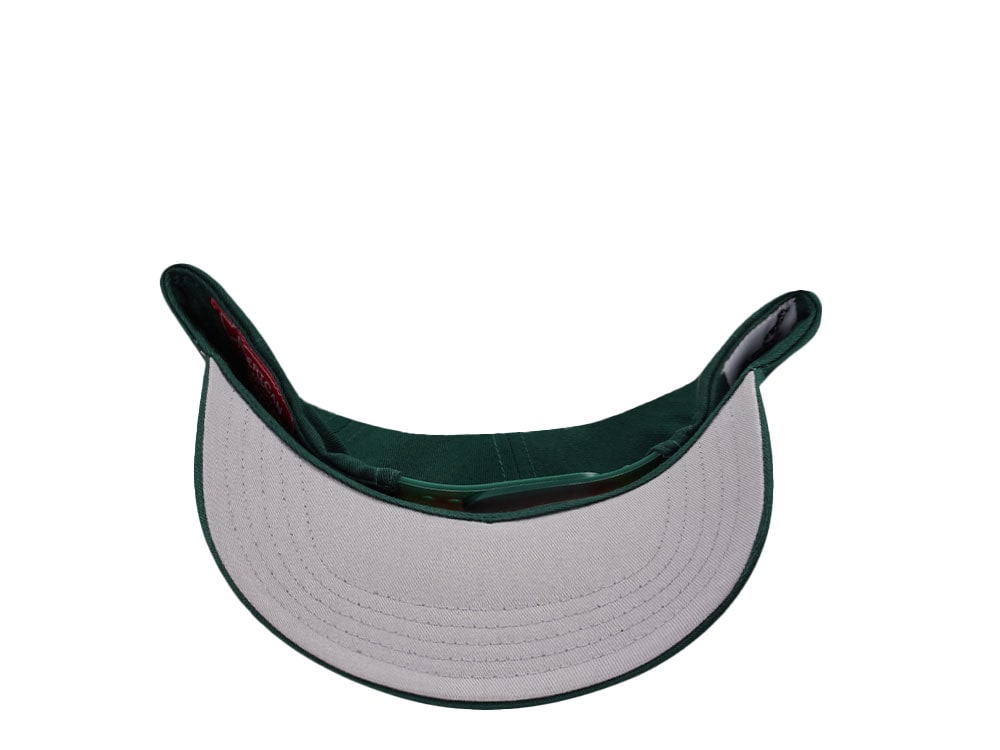 American Needle Mack Truck Twill Valin Patch Green Snapback Casquette
