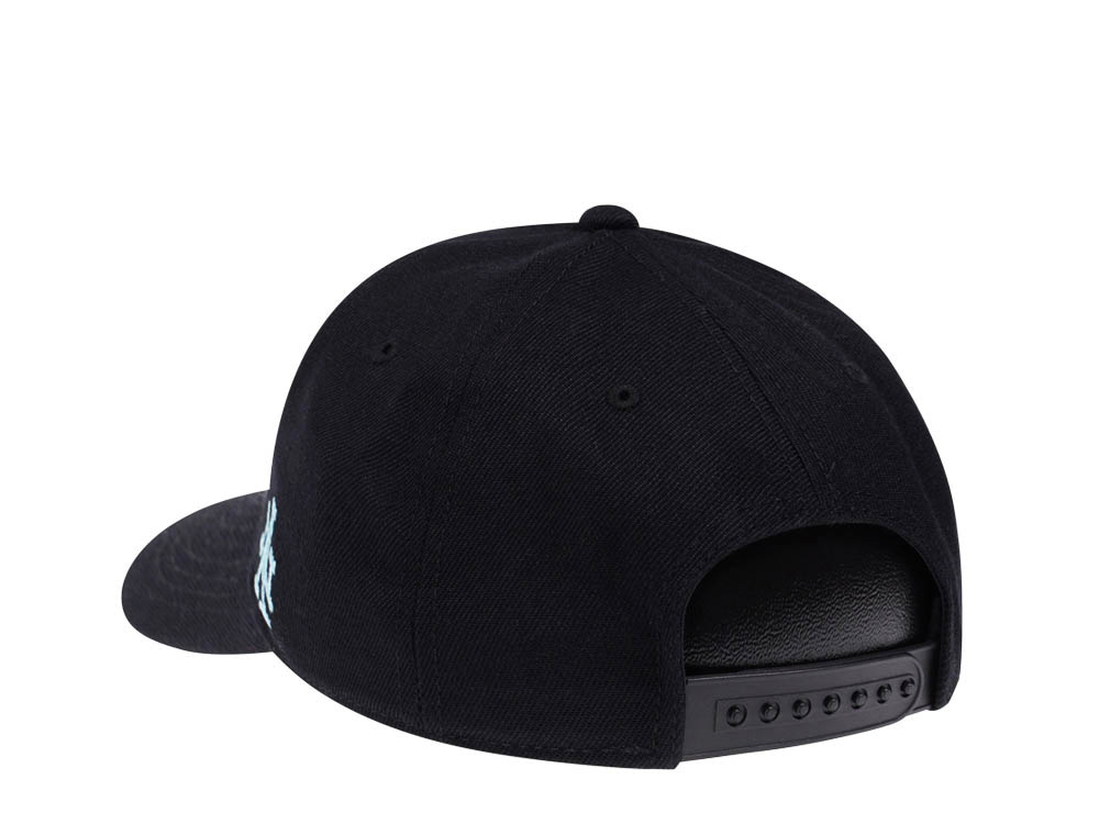American Needle Yosemite National Park Black Snapback Casquette